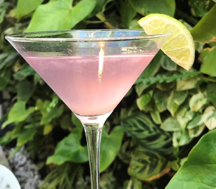 Martini glass with pink liquid and a lemon wedge garnish in front of a green shrub for National Martini Day In Southwest Florida